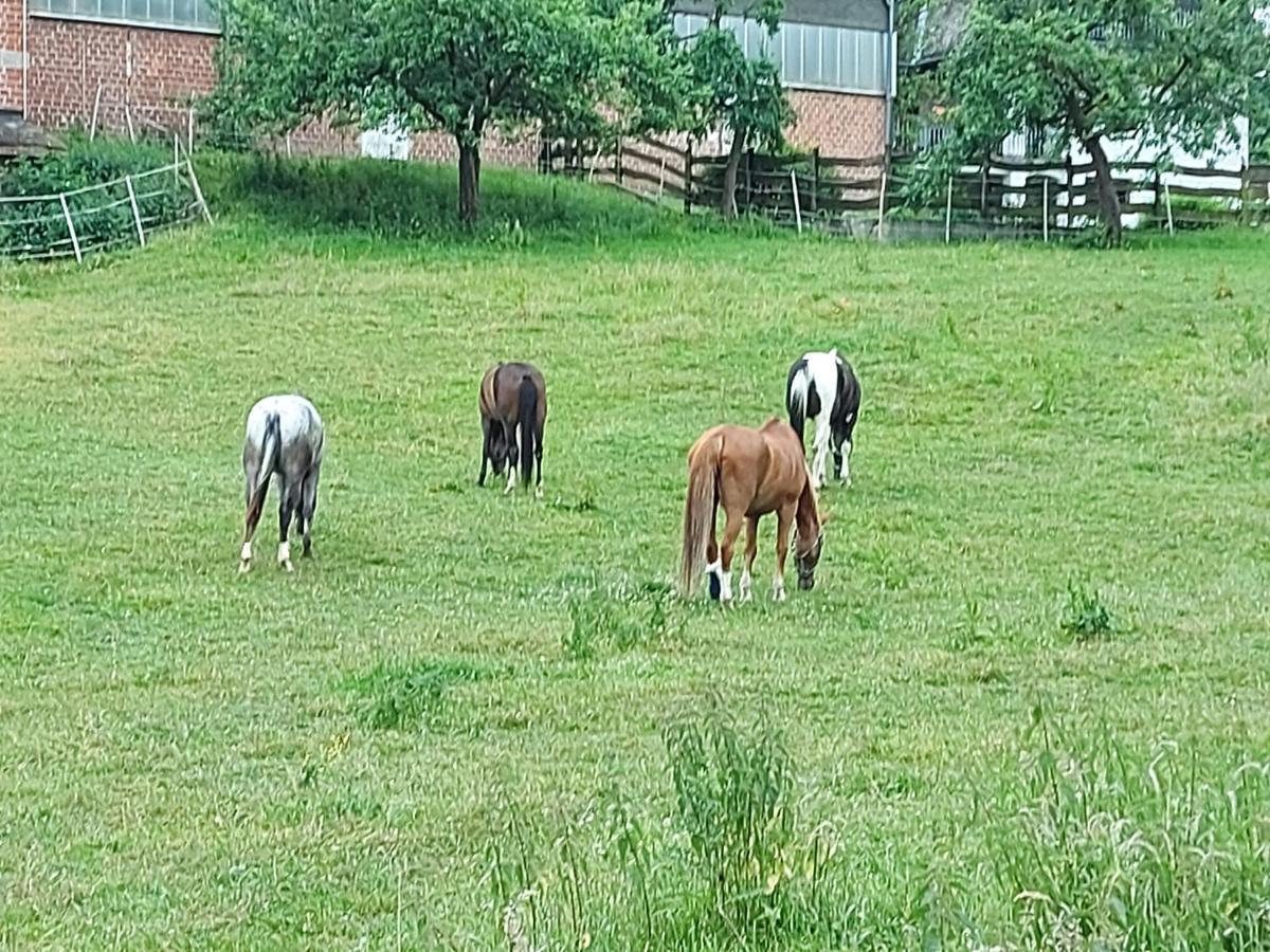 Ferienwohnung Ferien auf dem Land bei Familie Elsner Warstein Exterior foto