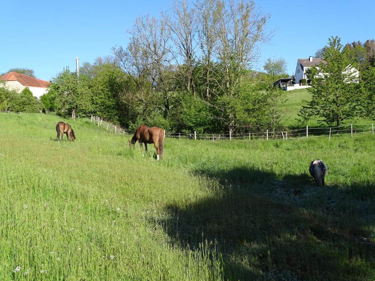 Ferienwohnung Ferien auf dem Land bei Familie Elsner Warstein Exterior foto